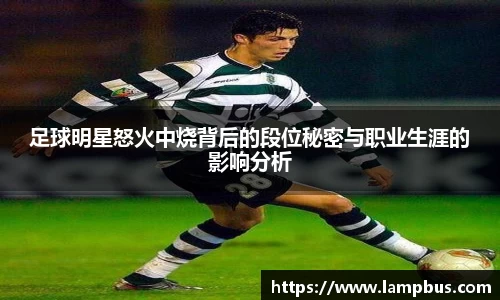 华体会hth体育登录