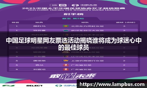 中国足球明星网友票选活动揭晓谁将成为球迷心中的最佳球员