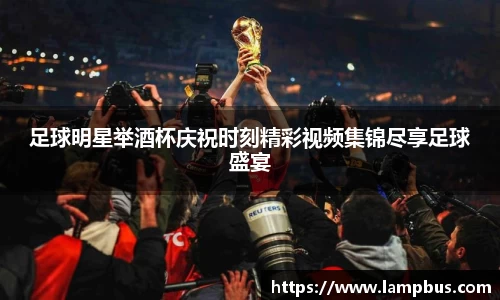 足球明星举酒杯庆祝时刻精彩视频集锦尽享足球盛宴