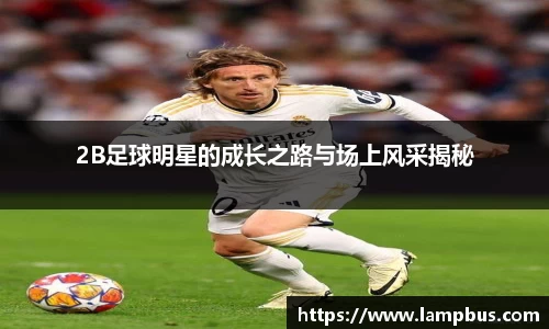 2B足球明星的成长之路与场上风采揭秘