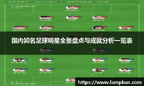 国内知名足球明星全景盘点与成就分析一览表