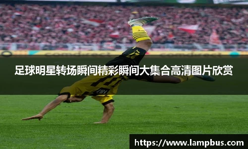 华体育hth官网登录